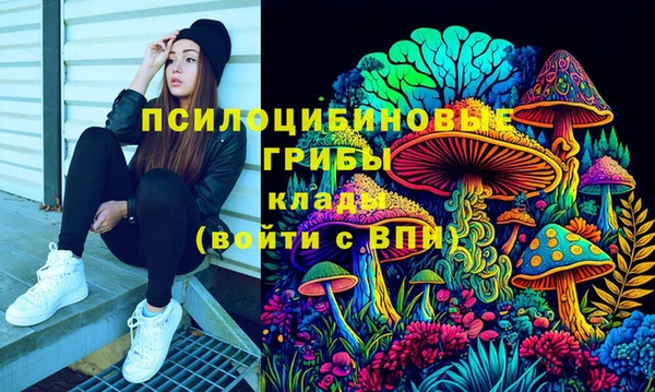 спиды Беломорск
