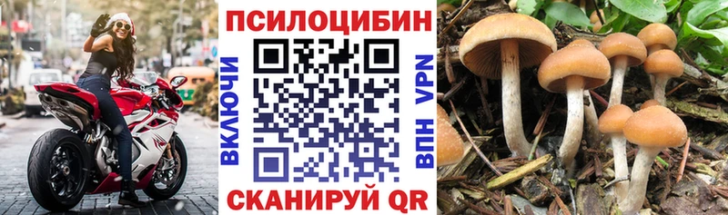 Купить закладки  Мариинск  Псилоцибиновые грибы Psilocybine cubensis 